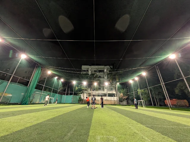 Turf photo 2