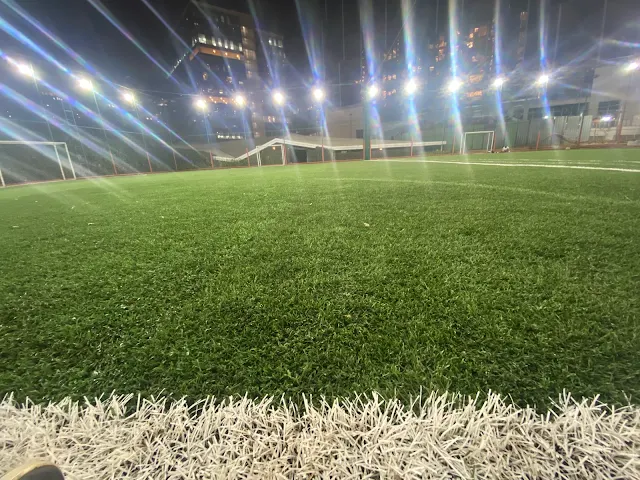 Turf photo 3