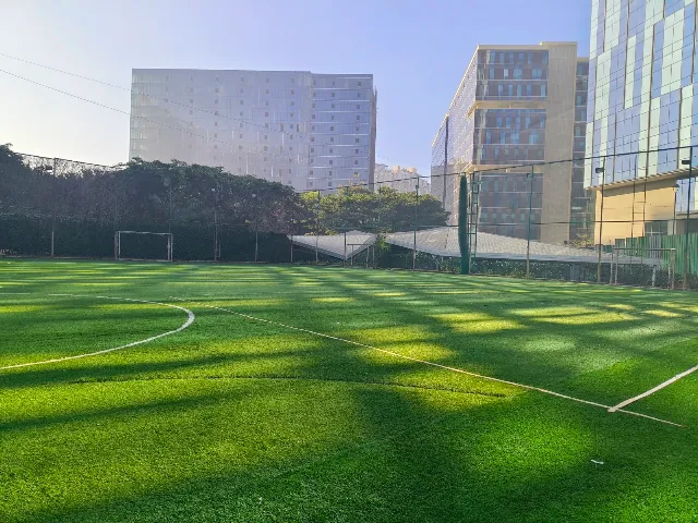 Turf main photo
