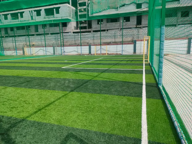 Turf main photo