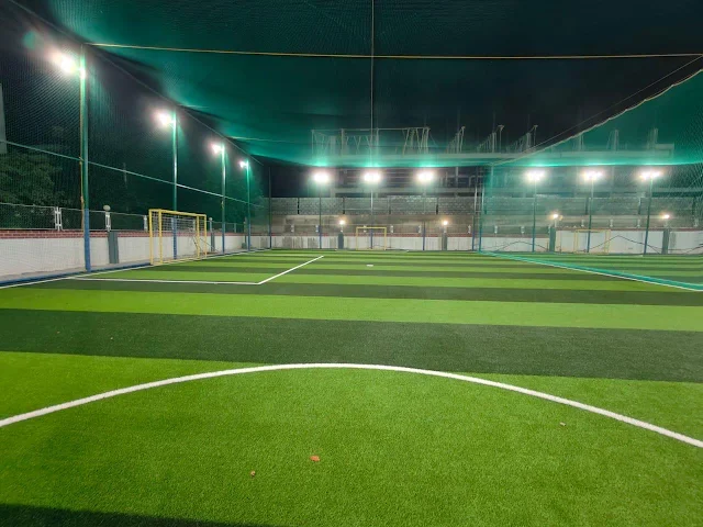 Turf photo 5