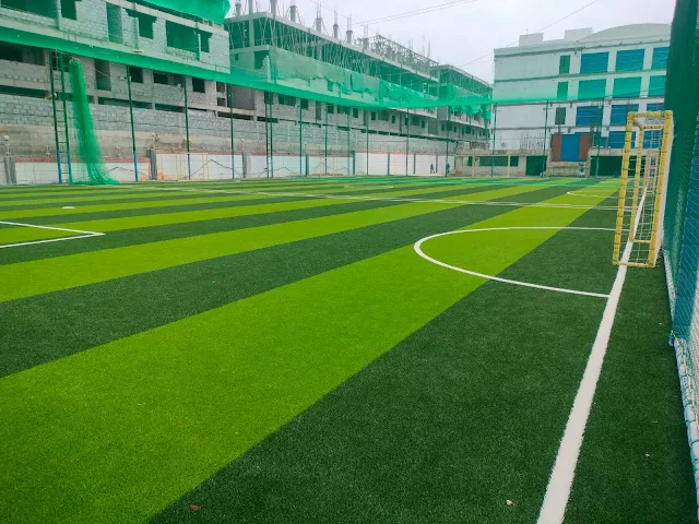 Turf photo 2