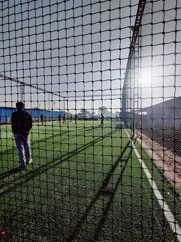 Turf photo 3