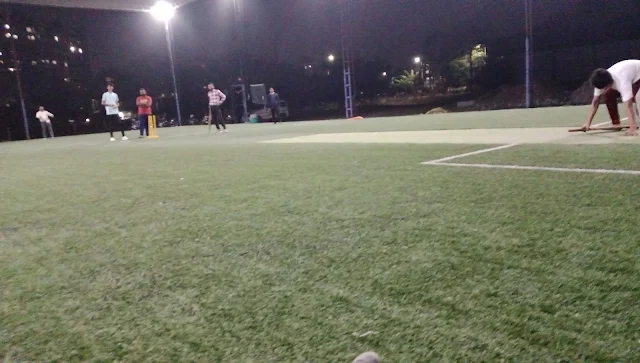 Turf photo 10