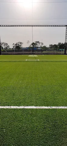 Turf photo 9