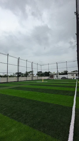 Turf photo 5
