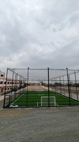 Turf photo 3