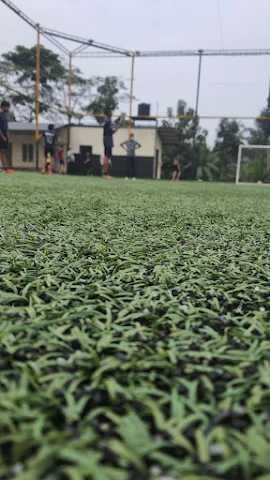 Turf photo 4