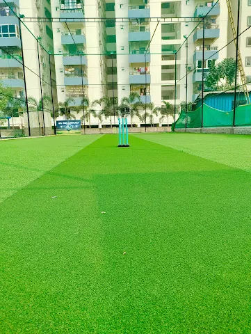 Turf photo 2