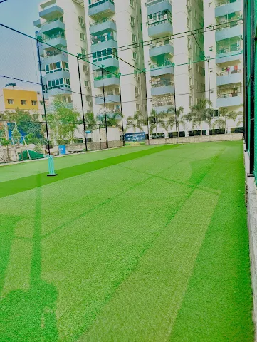 Turf photo 3