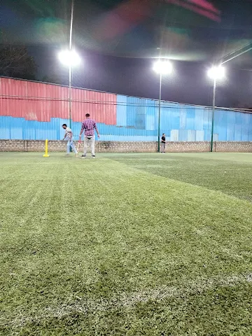 Turf photo 9