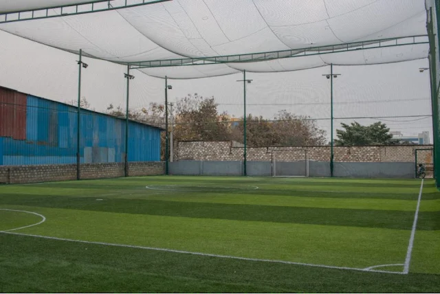 Turf photo 2