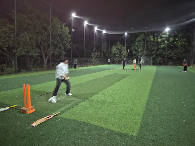 Turf photo 2