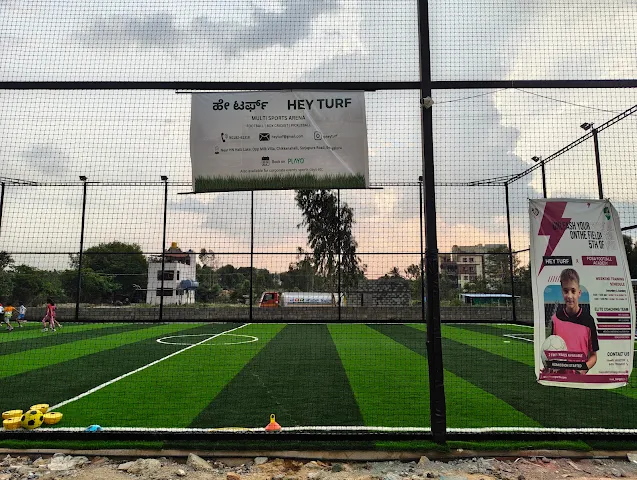 Turf photo 2