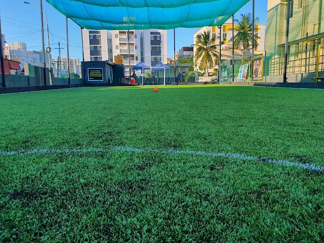 Turf main photo
