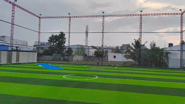 Turf photo 2