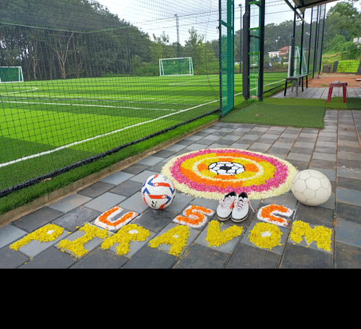 Turf photo 3