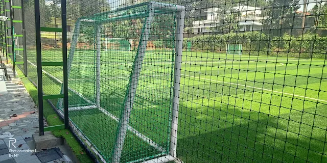 Turf photo 4
