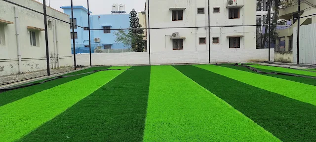 Turf photo 3