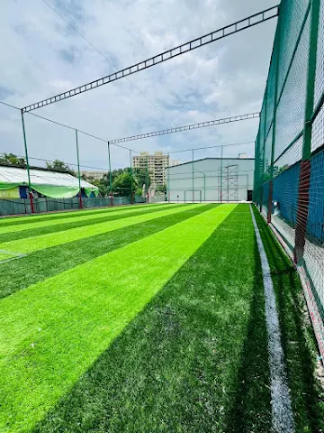 Turf photo 2