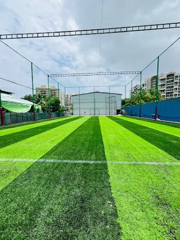 Turf photo 5