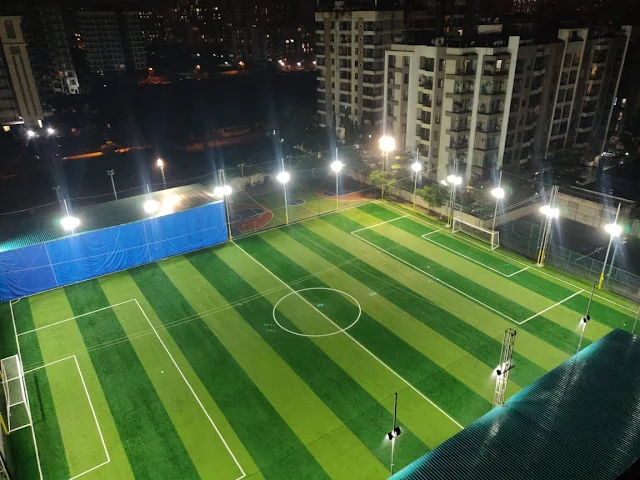 Turf photo 2