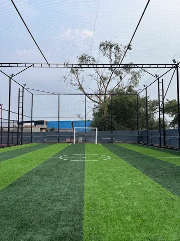 Turf photo 2