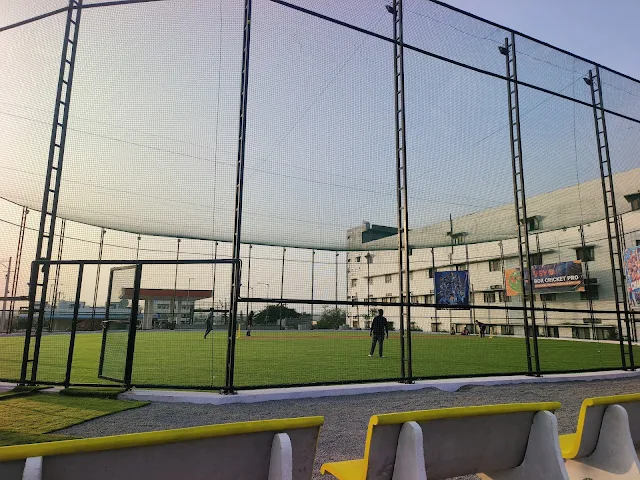 Turf photo 2