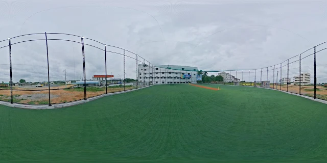 Turf photo 5