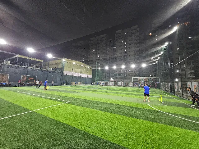 Turf photo 2