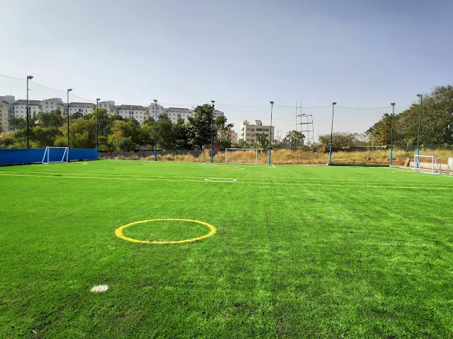 Turf photo 2