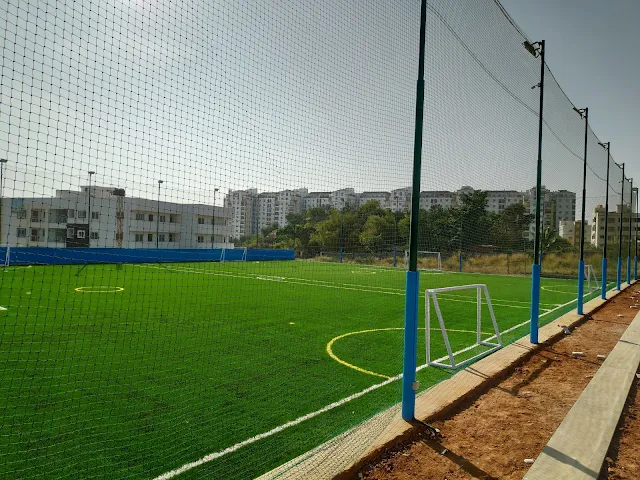Turf main photo