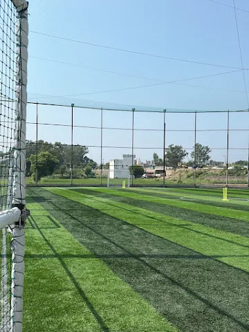 PRO TURF