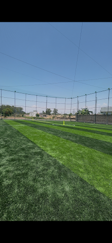 Turf photo 2
