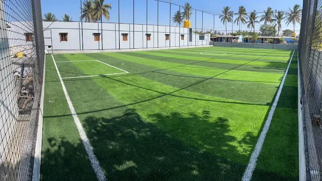 Turf main photo