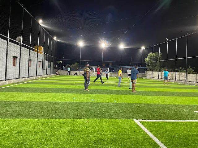 Turf photo 2