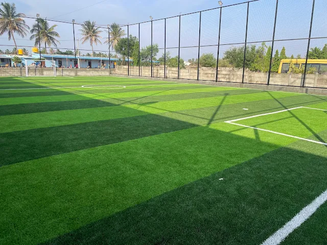 Turf photo 4