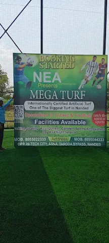 Turf photo 3