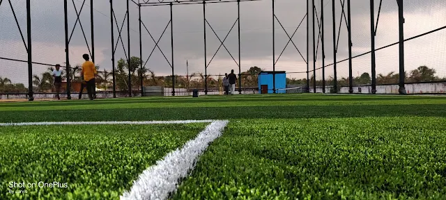 Turf photo 4