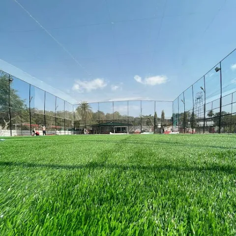 Hf sports arena
