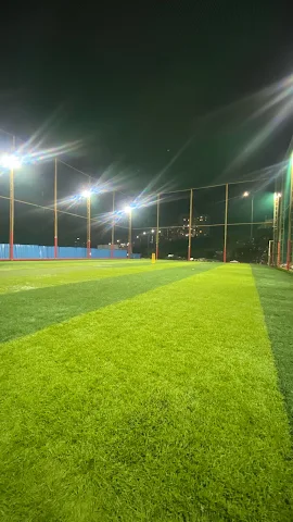Turf photo 2