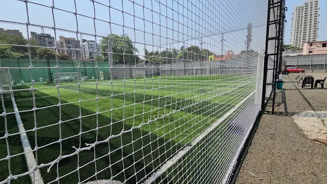 Turf photo 3