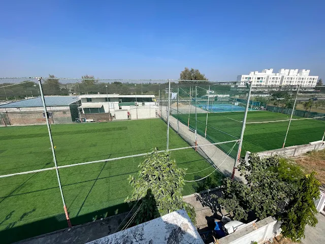 Turf photo 3