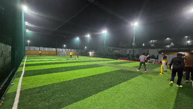 Turf photo 2