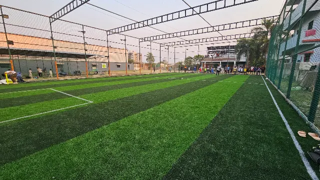 Turf photo 4