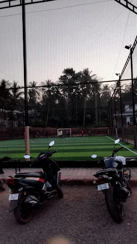 Turf photo 4