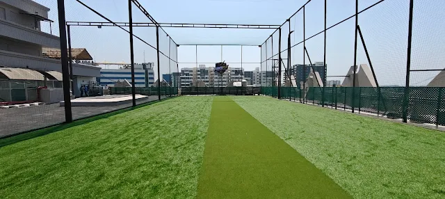 Turf photo 4