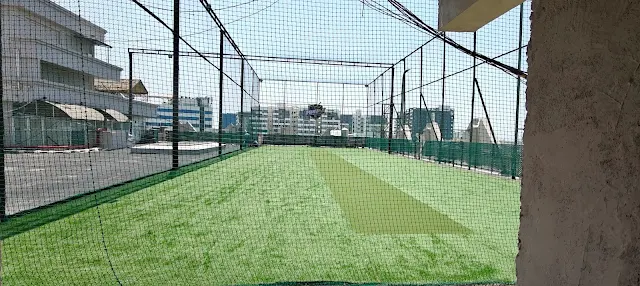 Turf photo 5