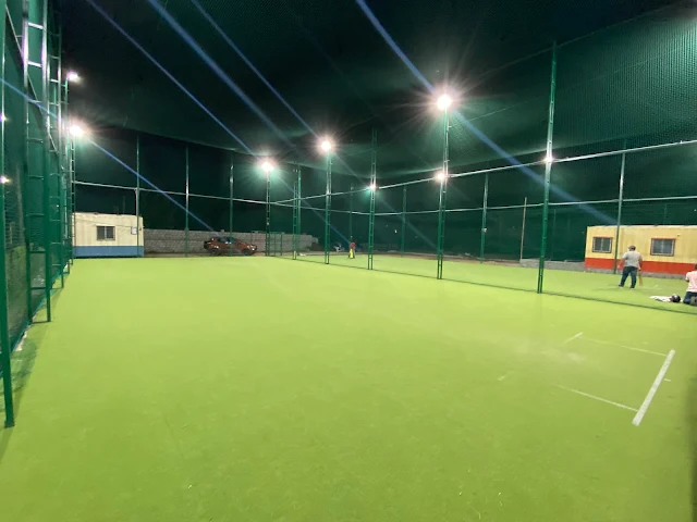 Turf photo 2