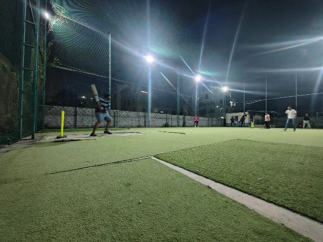 Turf photo 3